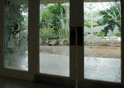 Leptat® etched glass doors create beauty and safety in entryways at the Mitchell Park Domes